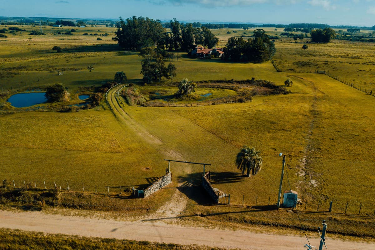 Plano de la unidad