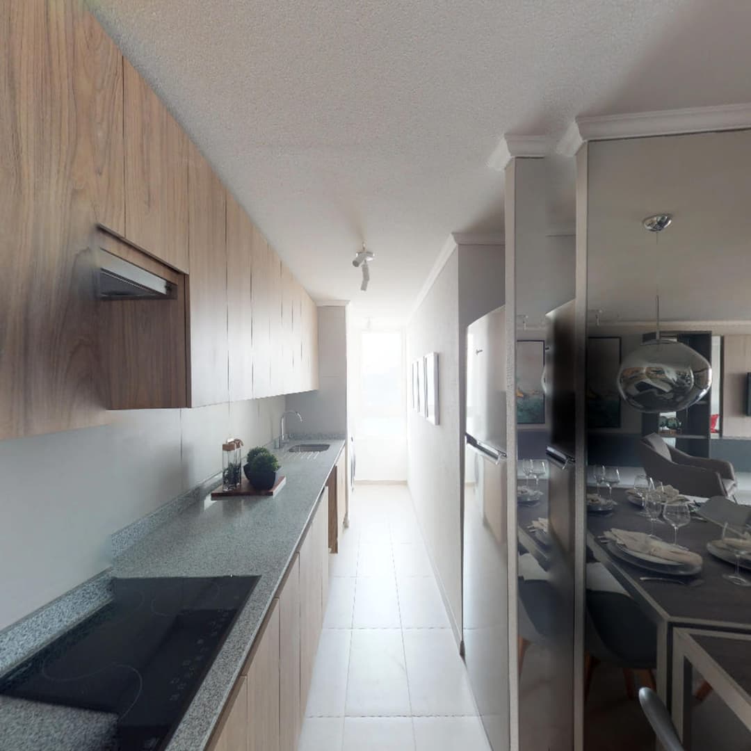 Imagen principal de la planta