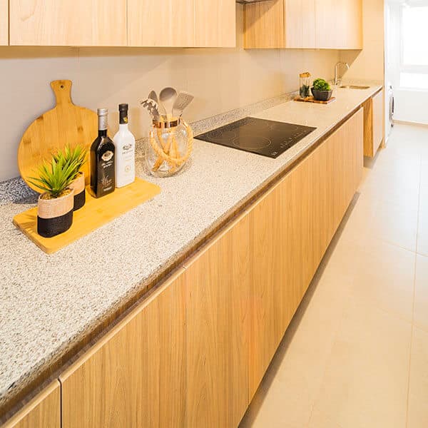 Imagen principal de la planta