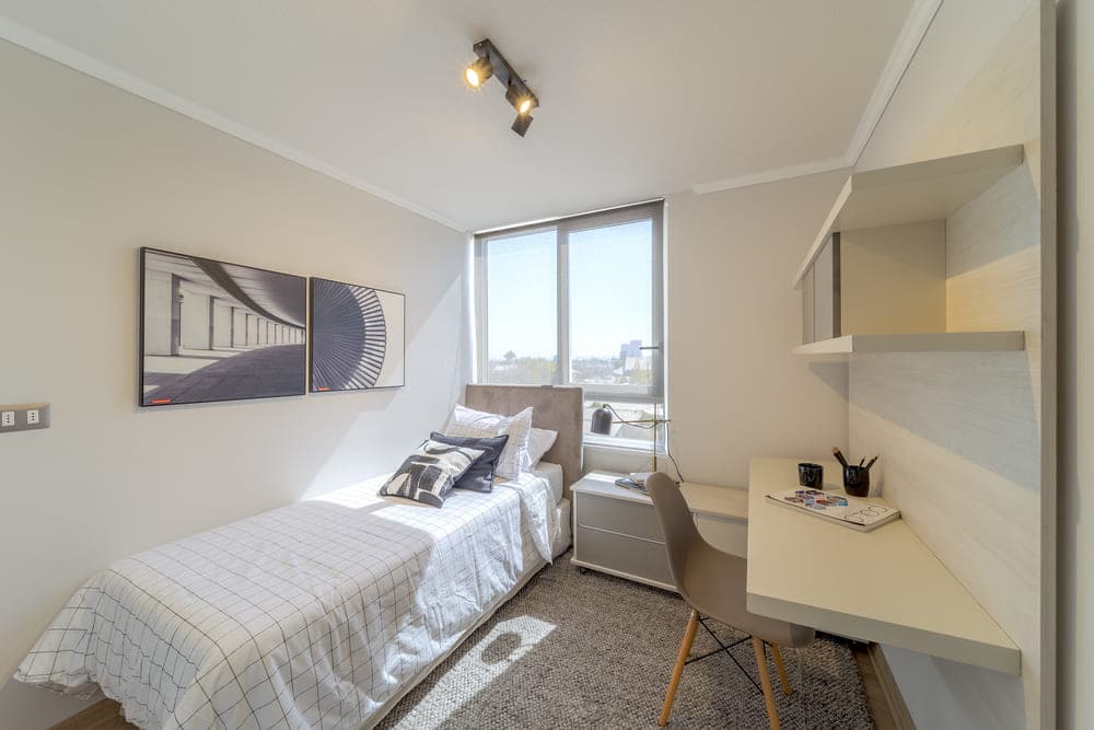Imagen principal de la planta