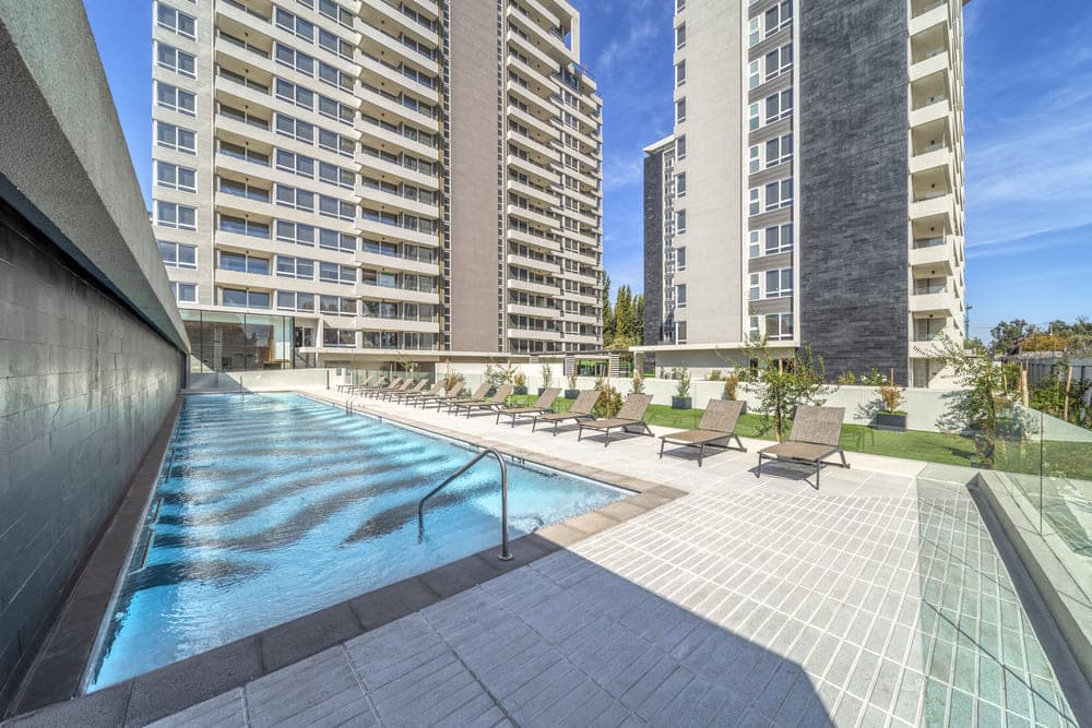 Imagen principal de la planta