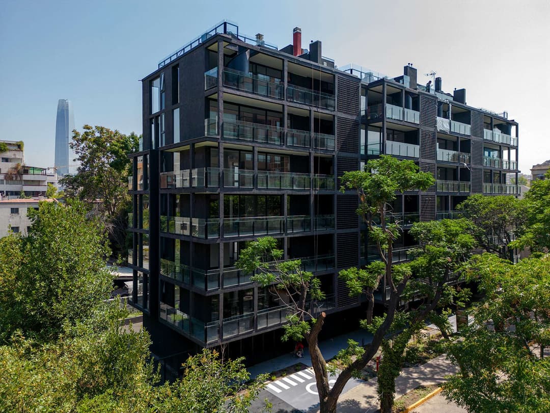 Imagen principal de la planta