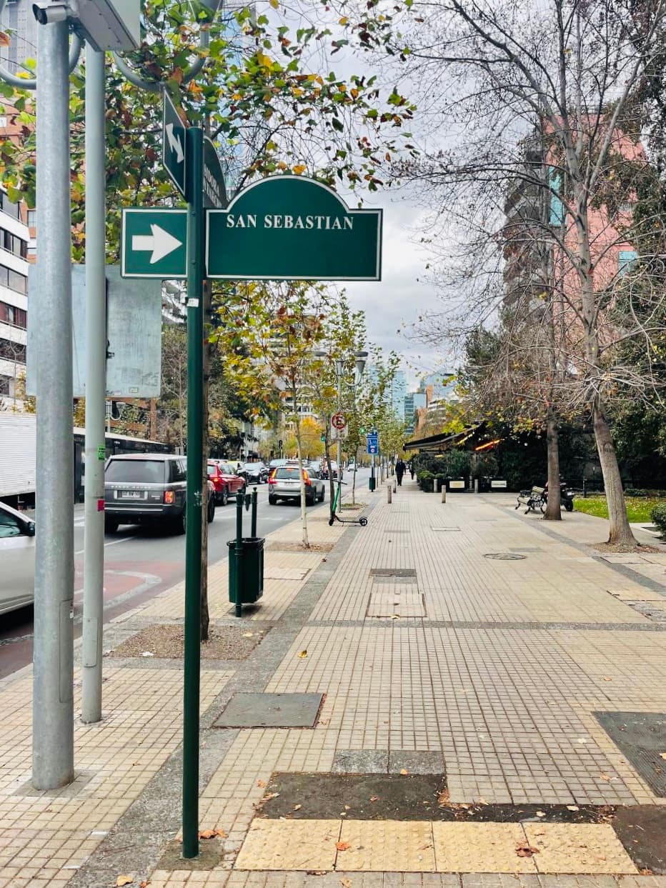 Imagen principal de la planta