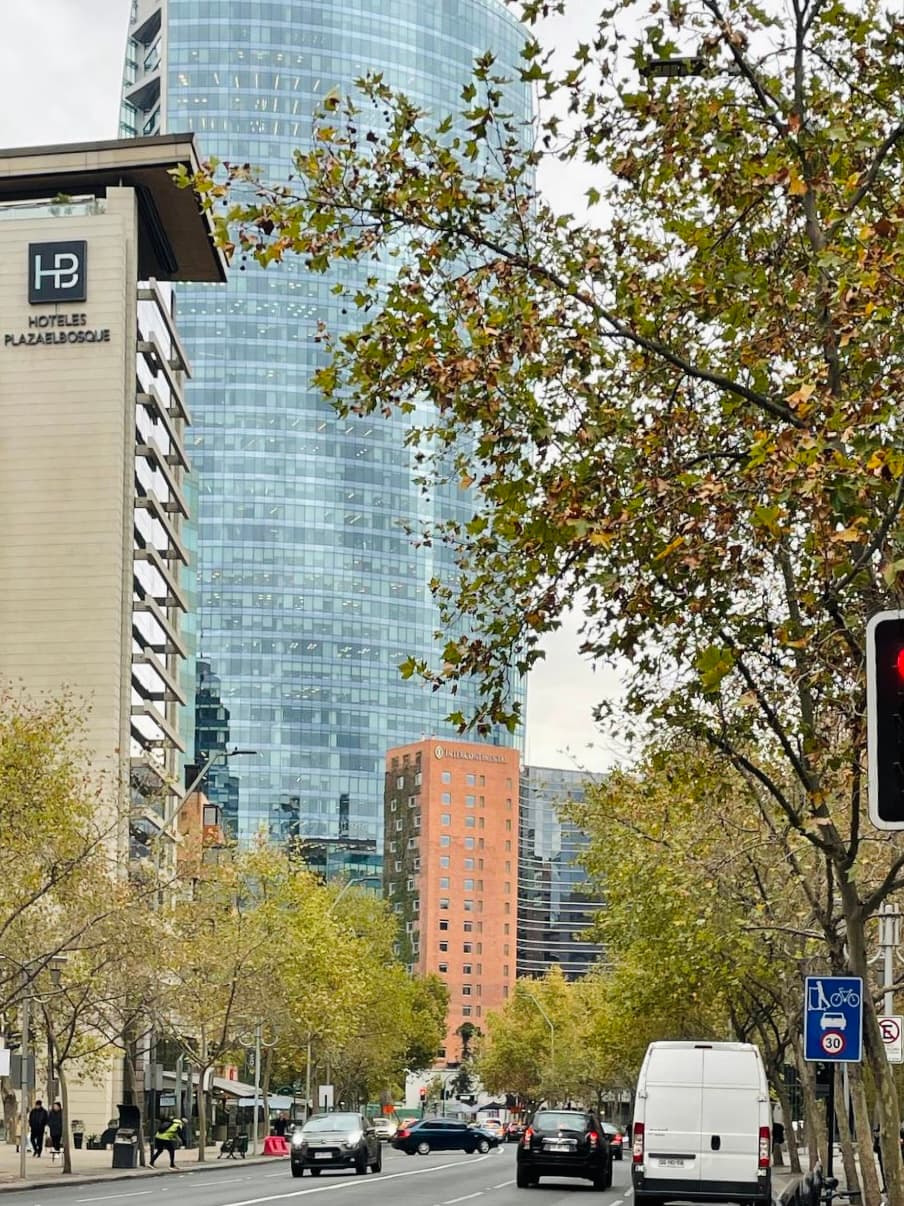 Imagen principal de la planta