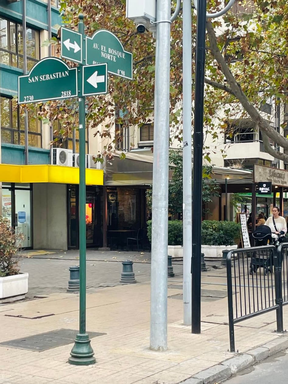 Imagen principal de la planta