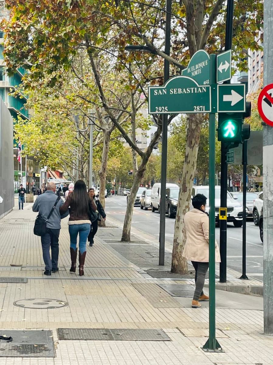 Imagen principal de la planta