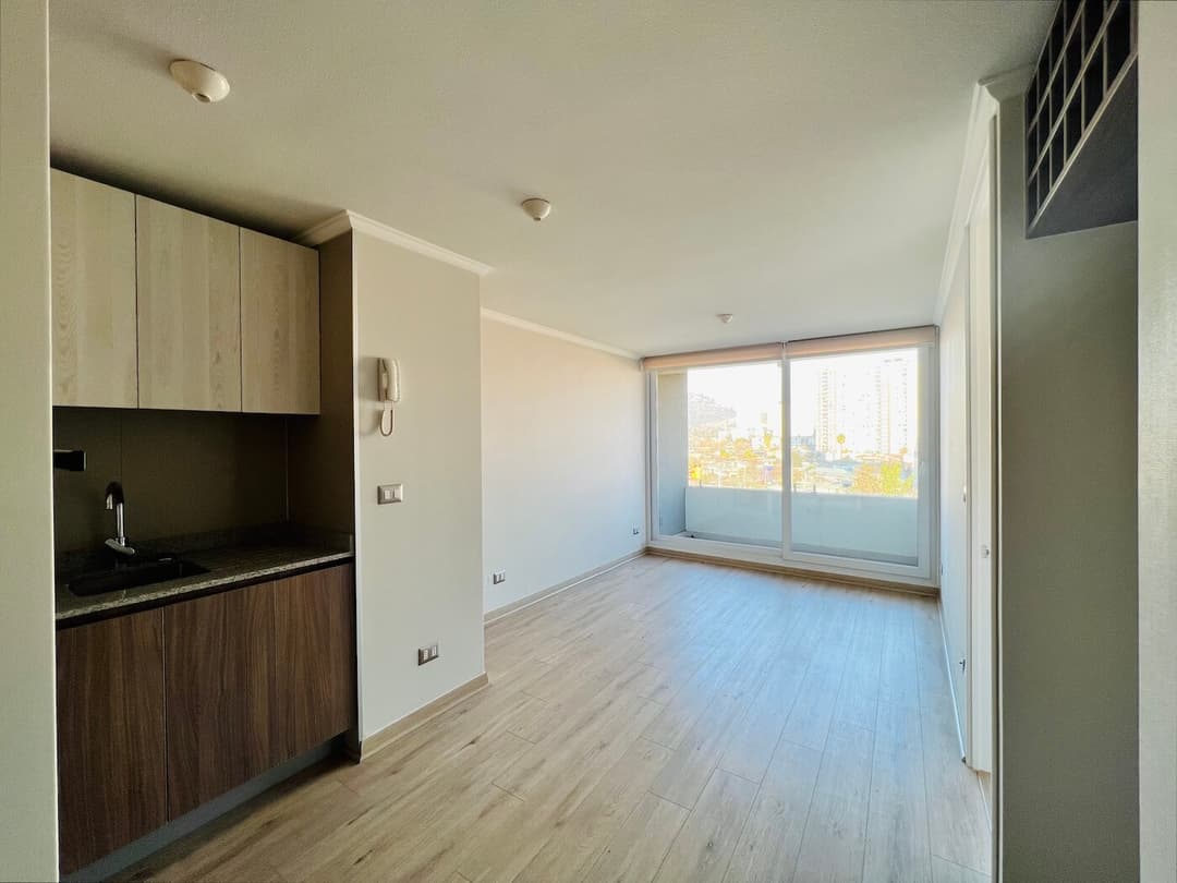 Imagen principal de la planta