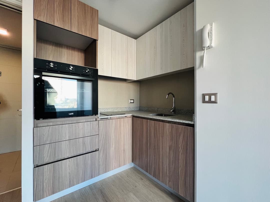 Imagen principal de la planta