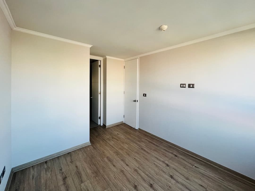 Imagen principal de la planta