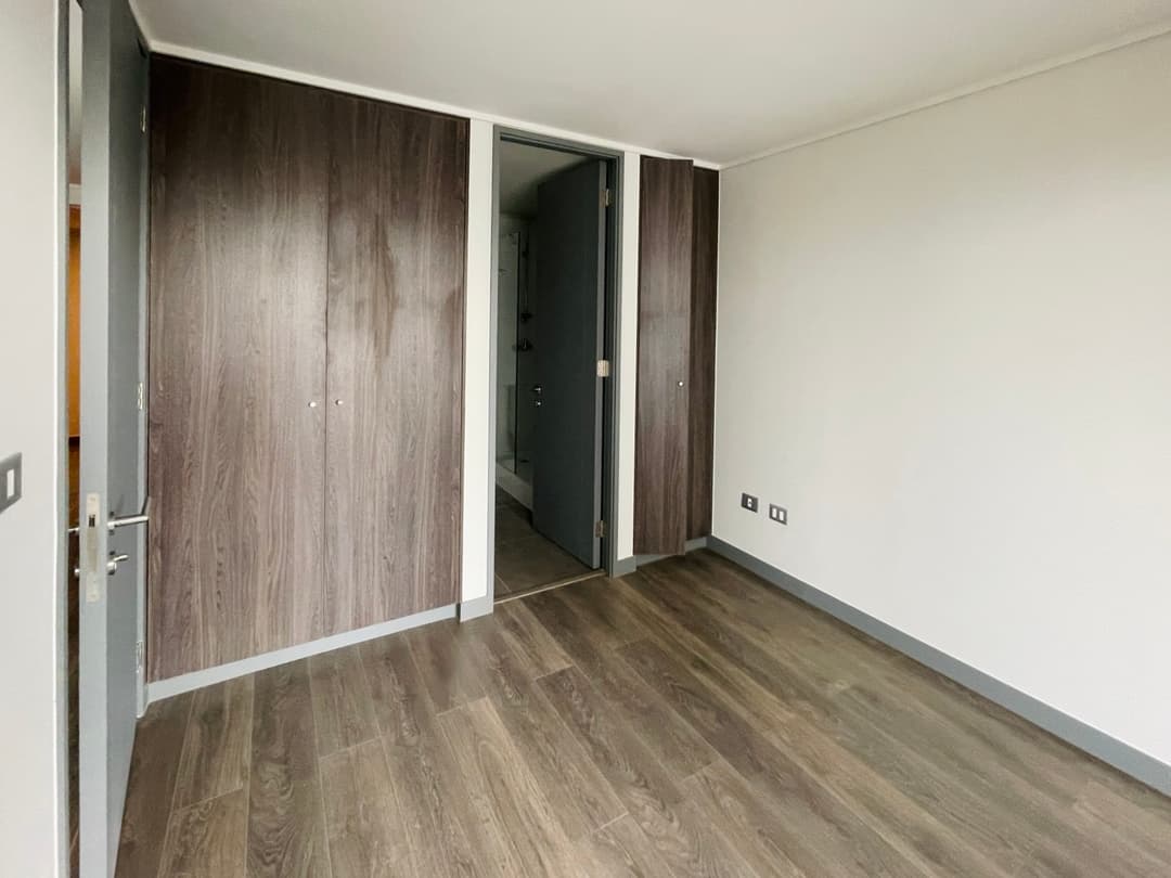Imagen principal de la planta